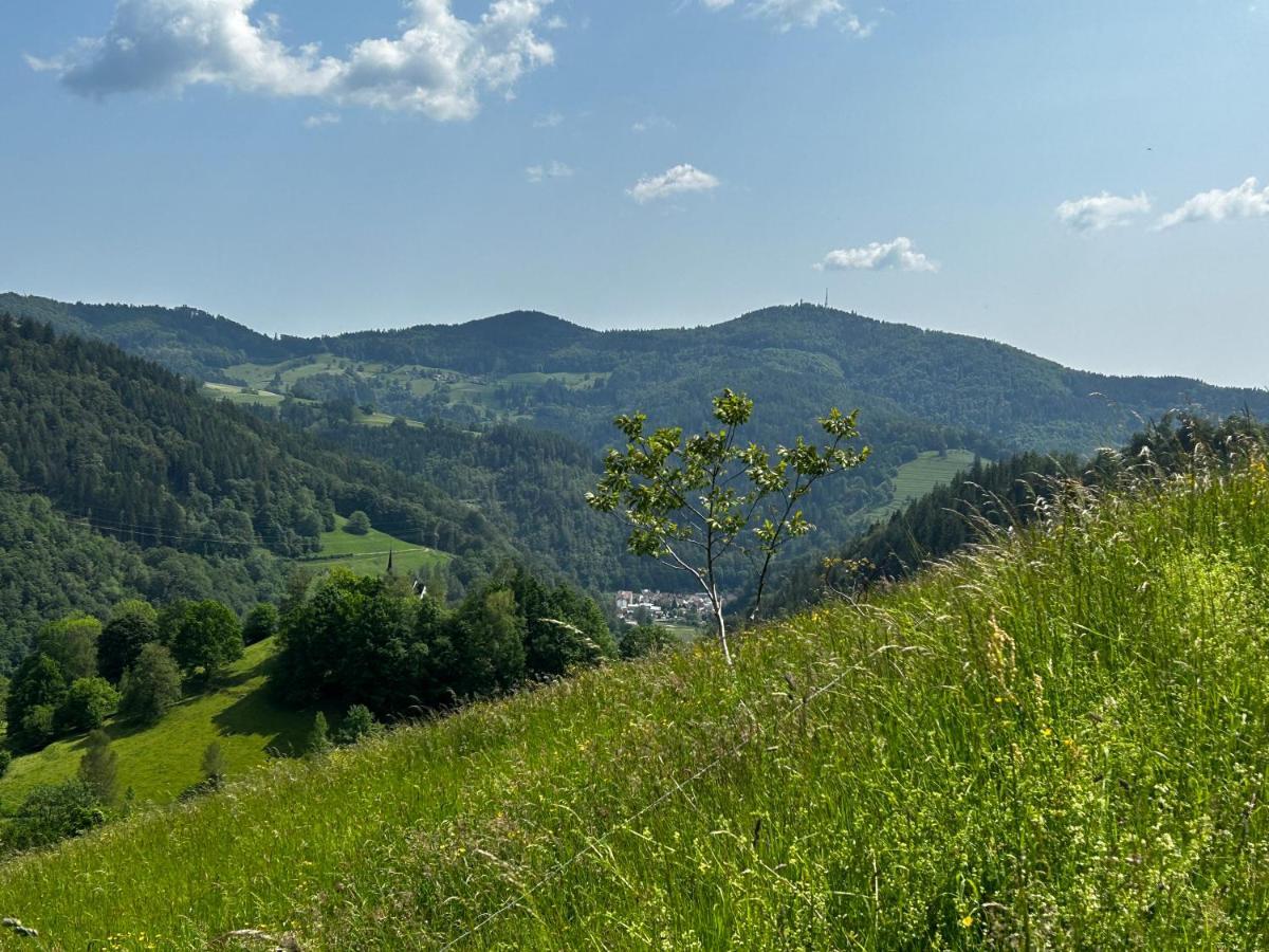 Cella Apartments **** Zell im Wiesenthal Dış mekan fotoğraf